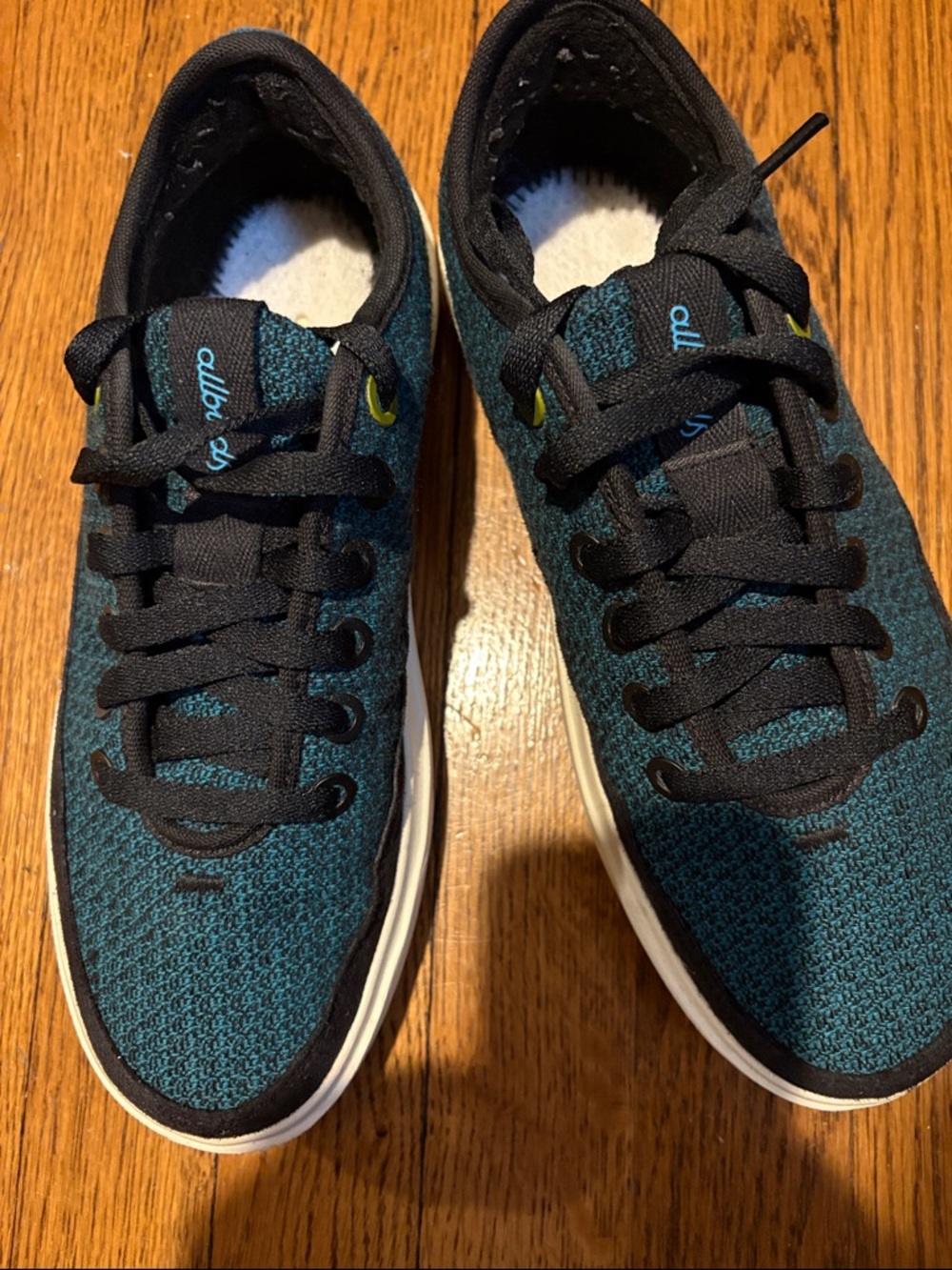 Allbird Knit Lace-Up Sneakers in Teal and Black